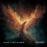 Rise Like Birds cover art